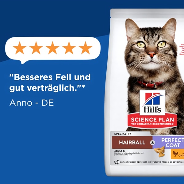 A square-ratio testimonial ad featuring a cat alongside a 5-star rating and customer quote to build immediate product credibility.